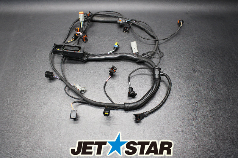 Used 420664952 ENGINE WIRING HARNESS ASS'Y (WITH DEFECT) [S578-059]