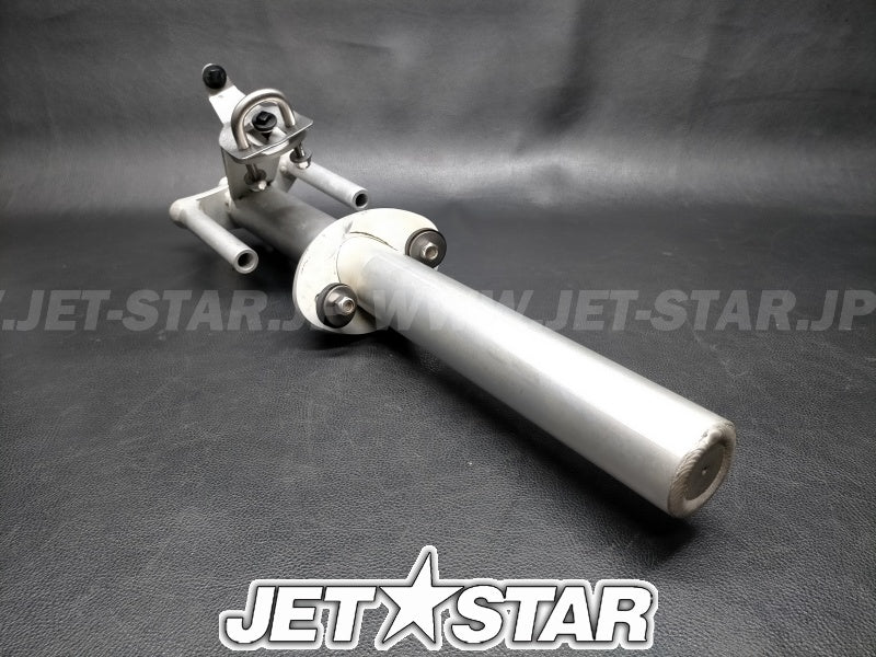 Used 291002095 SKI POLE [S6108-45]