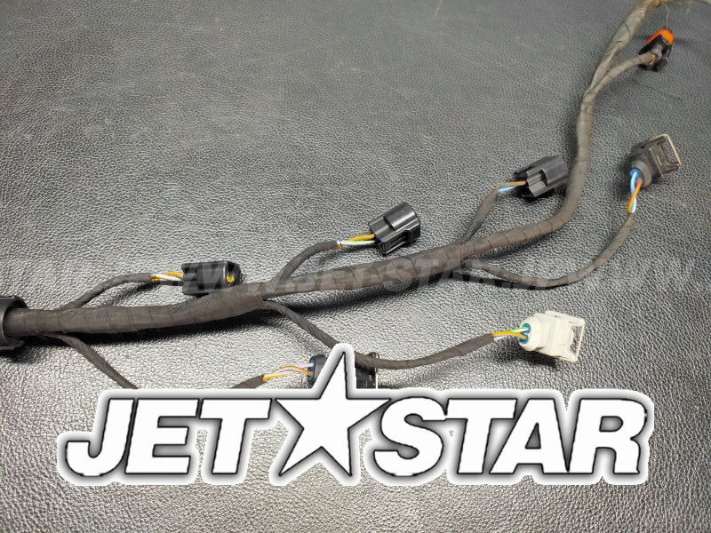 Used 420665205 ENGINE WIRING HARNESS ASS'Y [S6442-10]