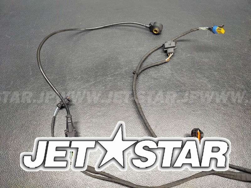 Used 420665205 ENGINE WIRING HARNESS ASS'Y [S6442-10]