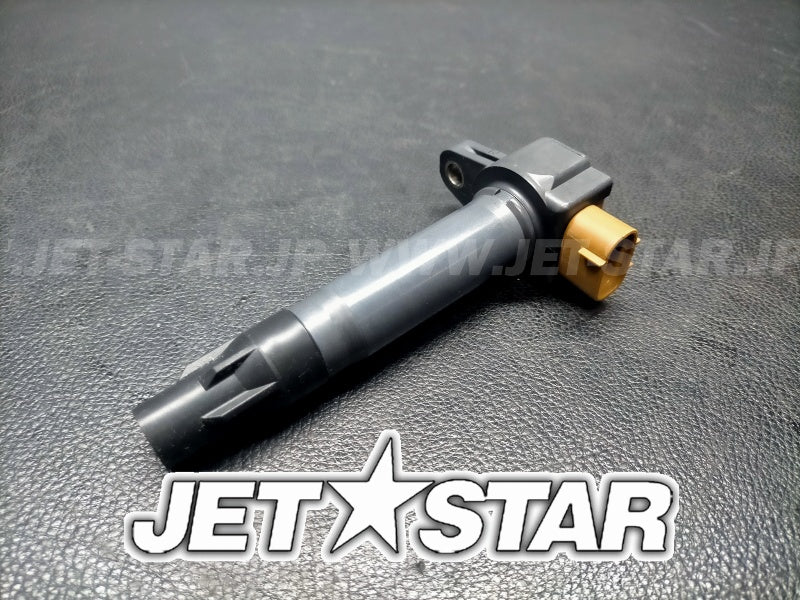 Used 420666142 IGNITION COIL [S6542-17]