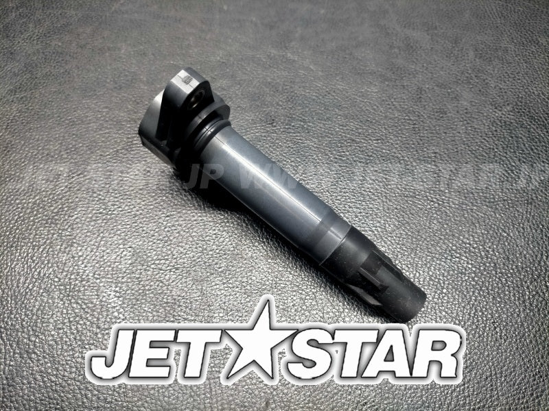 Used 420666142 IGNITION COIL [S6542-17]