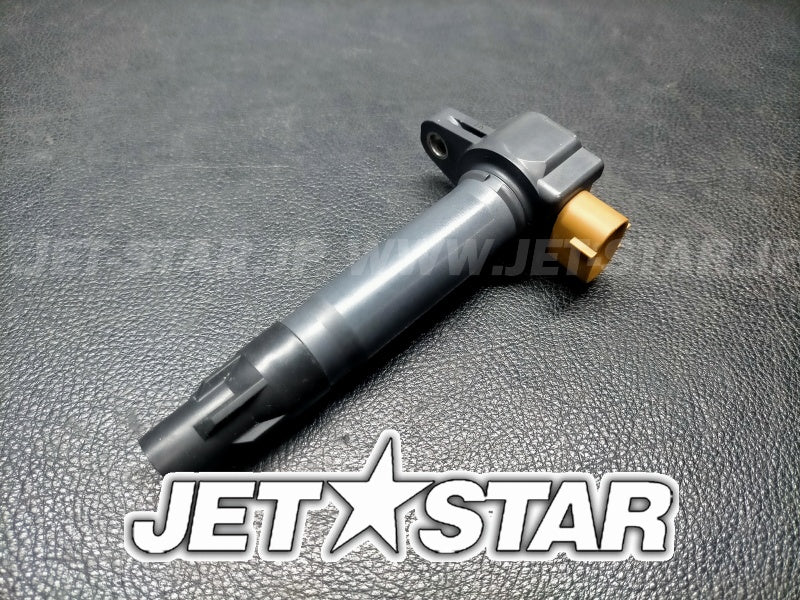 Used 420666142 IGNITION COIL [S6542-18]
