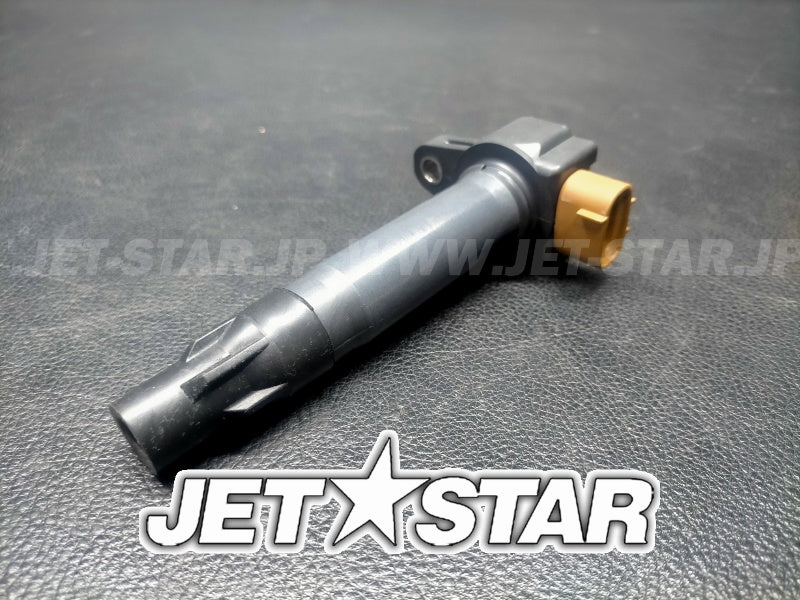 Used 420666142 IGNITION COIL [S6542-19]