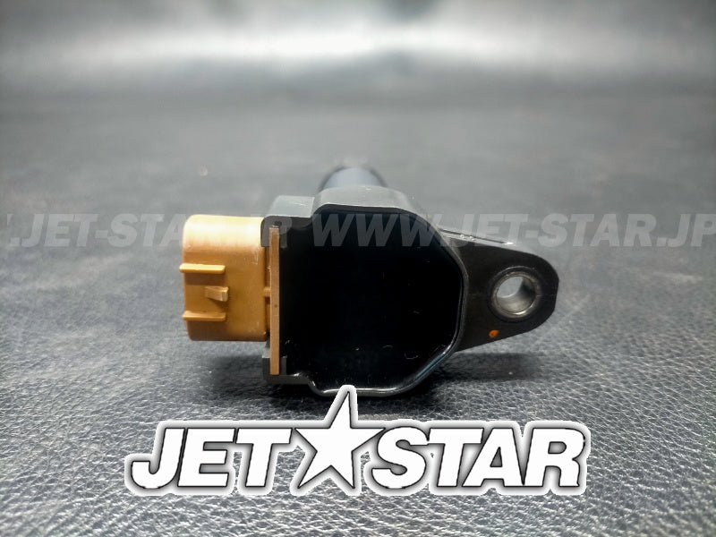 Used 420666142 IGNITION COIL [S6542-19]