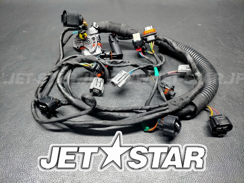 Used 420964082 ENGINE WIRING HARNESS ASS'Y [S6542-37]