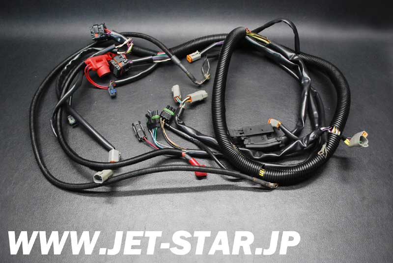 Used 278002120 REAR HARNESS AND ENGINE [S667-022]
