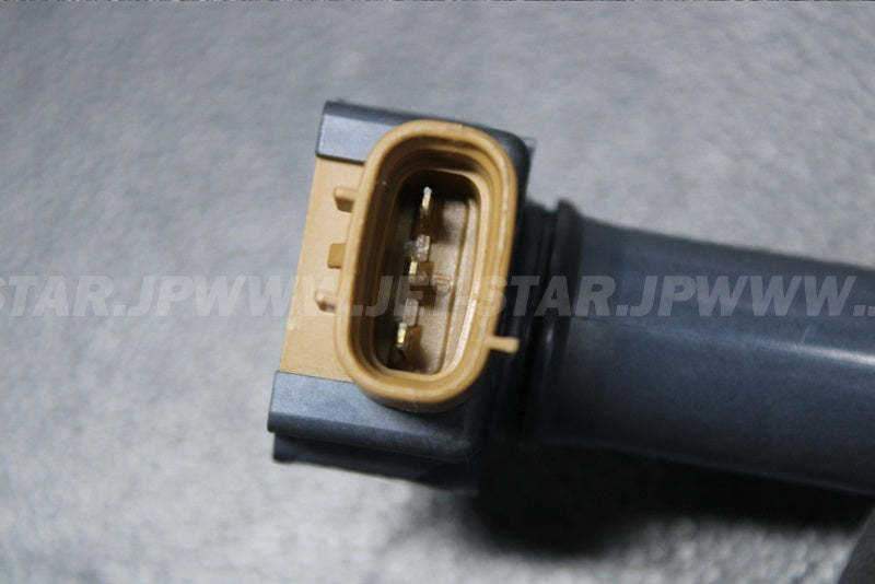 Used 420666142 IGNITION COIL [S7017-33]