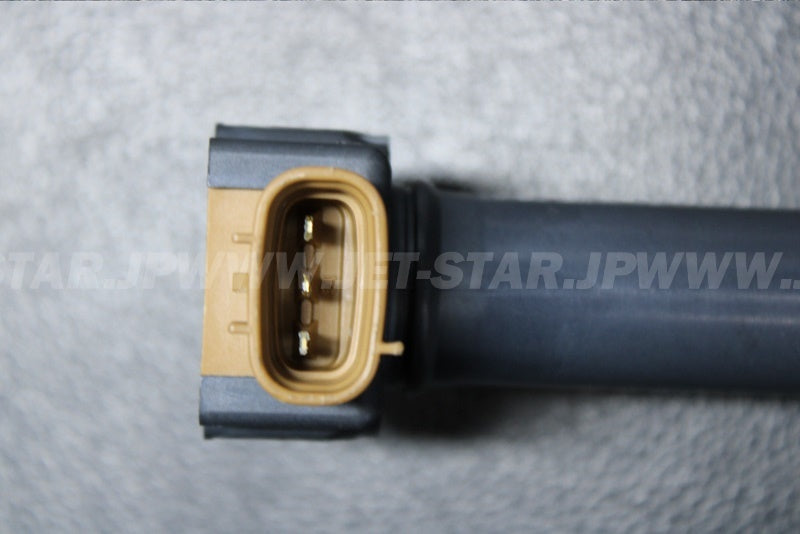 Used 420666142 IGNITION COIL [S7017-34]