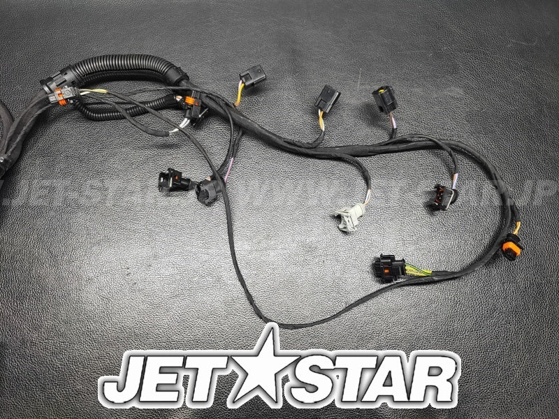 Used 420664056 WIRING HARNESS ASS'Y [S7142-19]