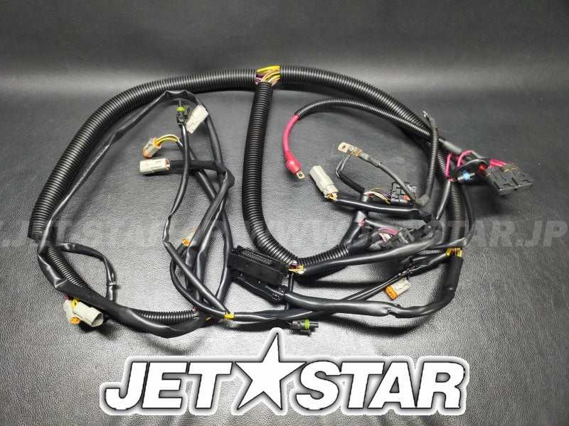 Used 278001854 MAIN WIRING HARNESS [S7142-31]