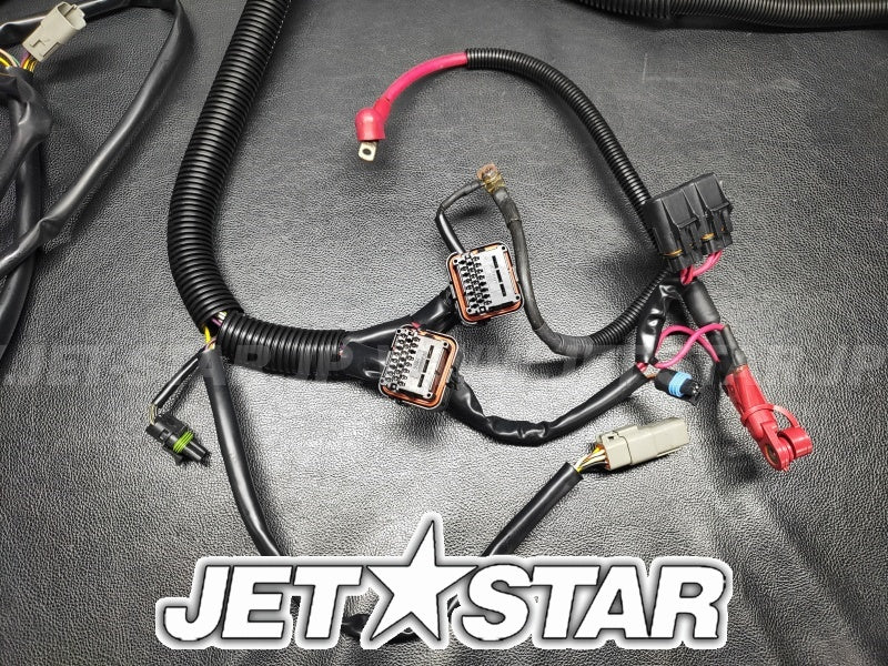 Used 278001854 MAIN WIRING HARNESS [S7142-31]