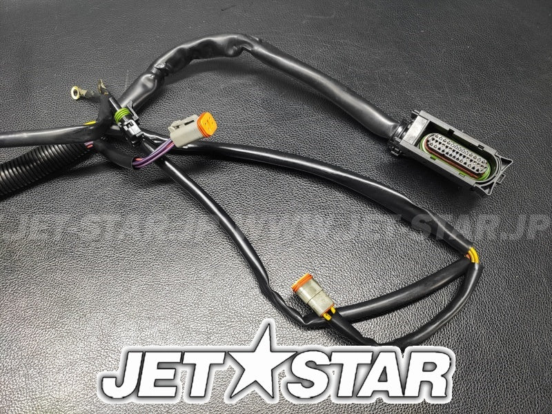 Used 278001854 MAIN WIRING HARNESS [S7142-31]