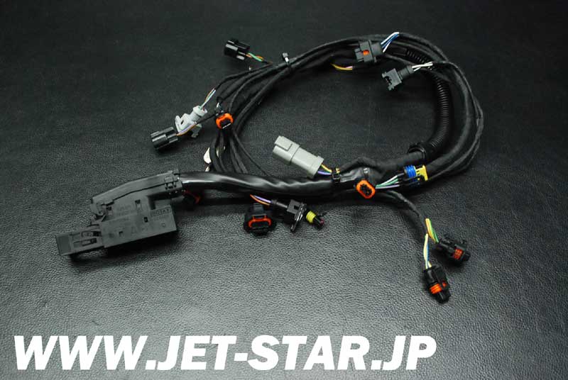 Used 420665205 ENGINE WIRING HARNESS ASS'Y [S747-084]