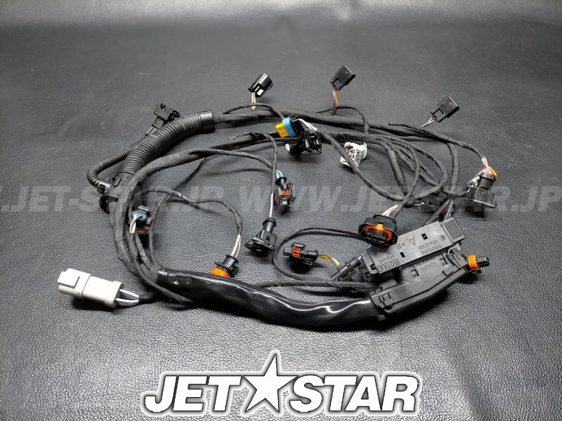 Used 420664056 WIRING HARNESS ASS'Y [S7533-24]