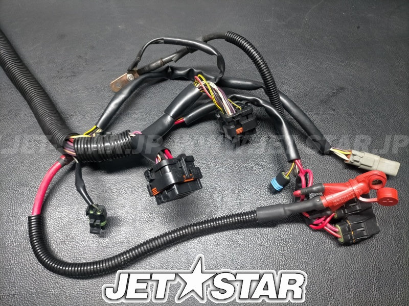 Used 278001854 MAIN WIRING HARNESS [S7533-31]