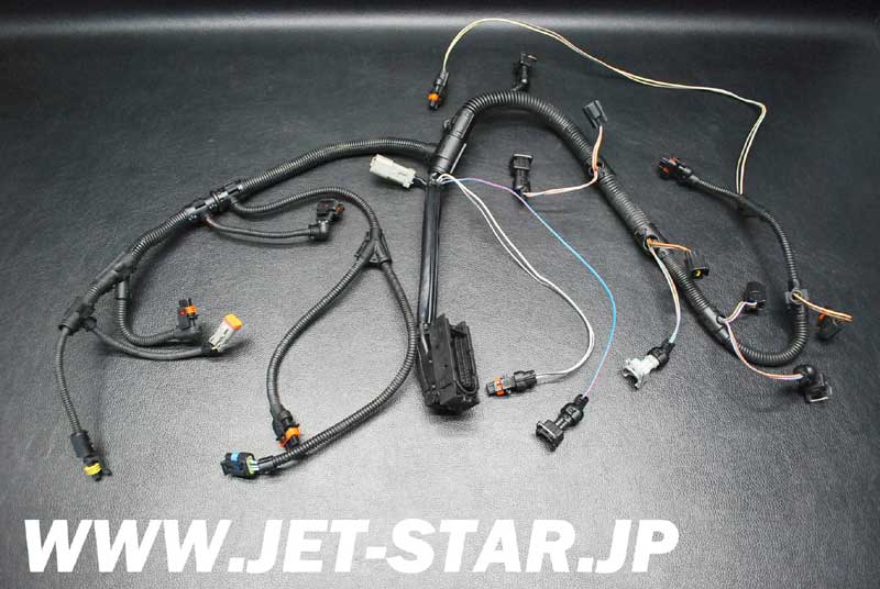 Used 420664056 WIRING HARNESS ASS'Y [S830-169]