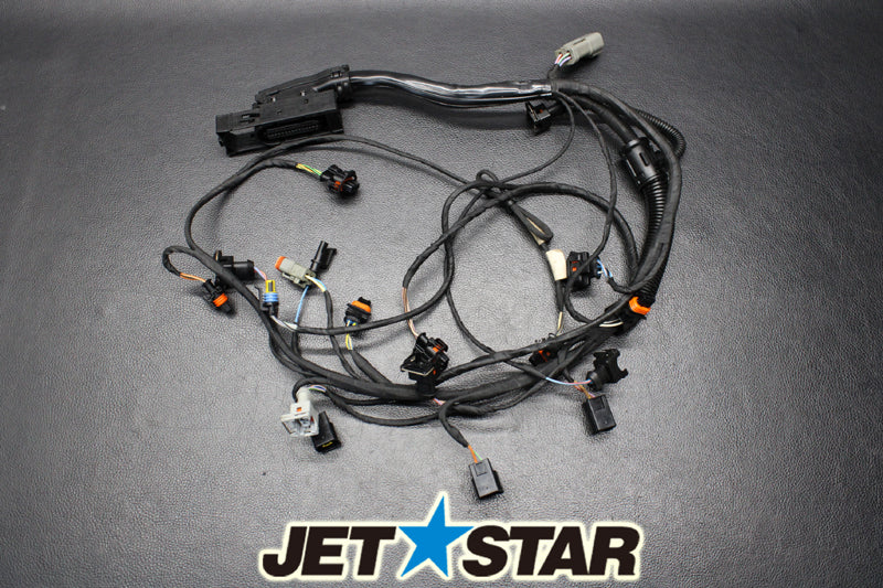 Used 420664056 WIRING HARNESS ASS'Y [S847-049]