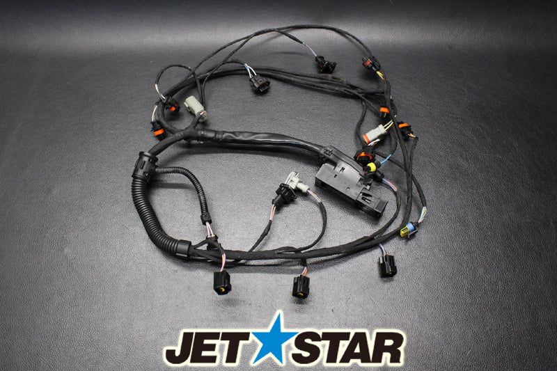 Used 420664056 WIRING HARNESS ASS'Y [S851-048]