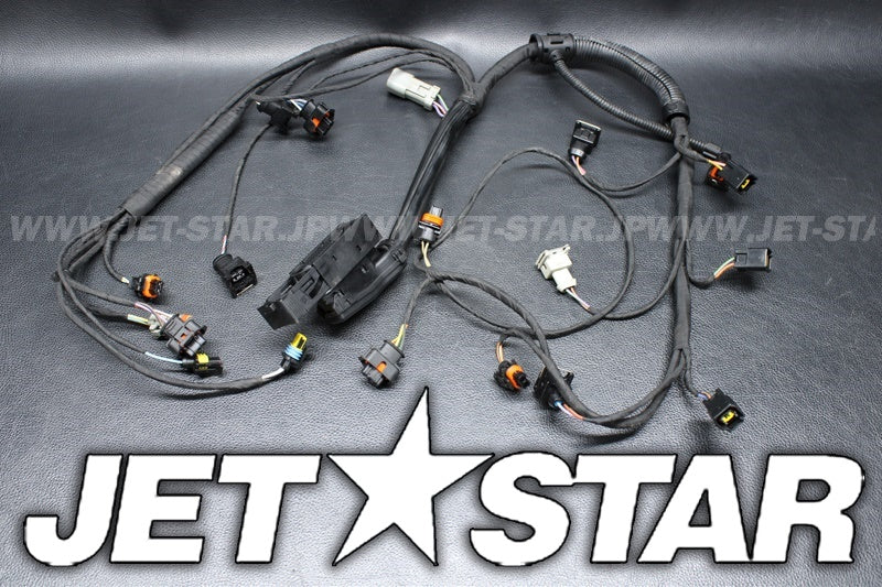Used 420664951 ENGINE WIRING HARNESS ASS'Y [S8558-26]