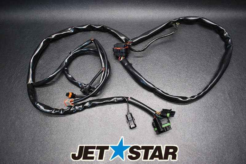 Used 278001363 REAR HARNESS [S901-042]