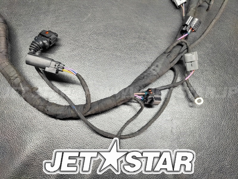 Used 420964084 ENGINE WIRING HARNESS ASS'Y [S9026-08]