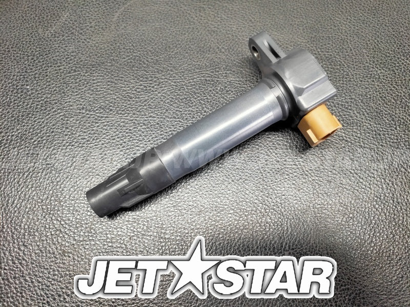 Used 420666142 IGNITION COIL [S9026-33]