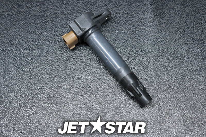 Used 420666142 IGNITION COIL [S9090-20]