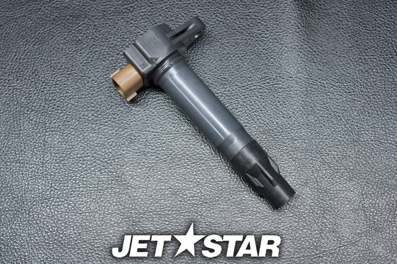 Used 420666142 IGNITION COIL [S9090-21]