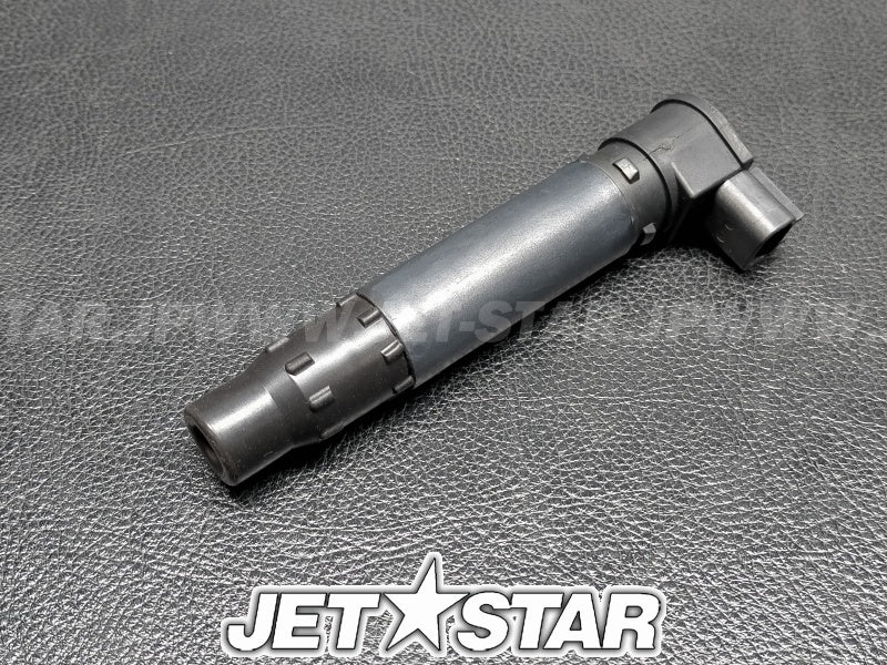 Used 420664020 IGNITION COIL [S9494-10]