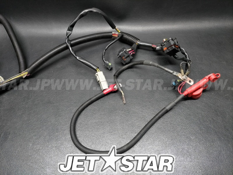 Used 278002119 MAIN HARNESS [S9494-14]