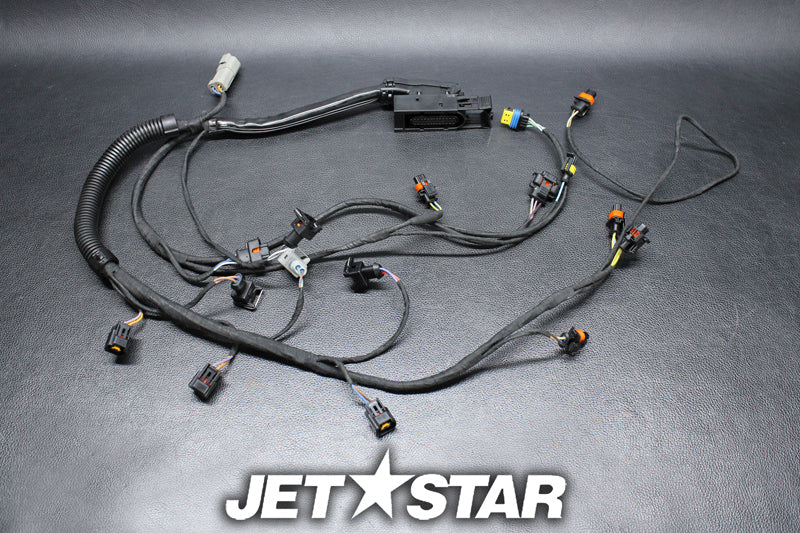 Used 420665205 ENGINE WIRING HARNESS ASS'Y [S9660-54]