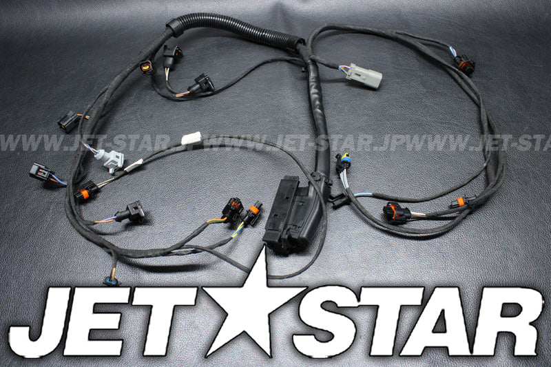 Used 420664058 ENGINE WIRING HARNESS ASS'Y [X2205-45]
