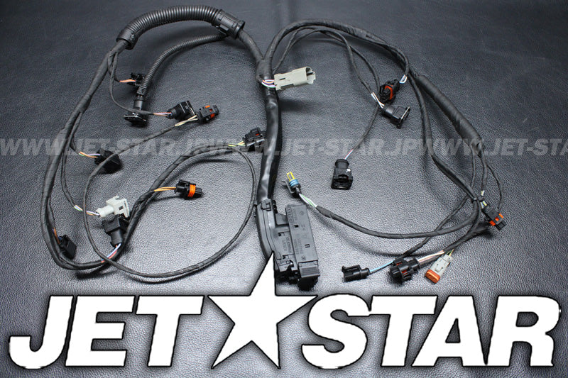 Used 420664951 ENGINE WIRING HARNESS ASS'Y [X2206-60]
