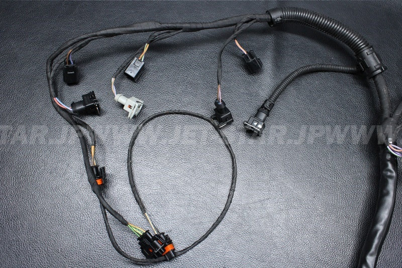 Used 420664951 ENGINE WIRING HARNESS ASS'Y [X2206-60]