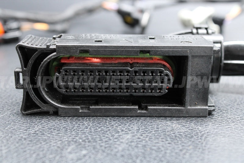 Used 420664951 ENGINE WIRING HARNESS ASS'Y [X2206-60]