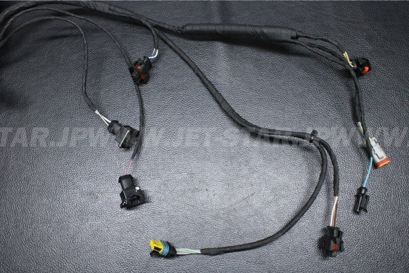 Used 420664951 ENGINE WIRING HARNESS ASS'Y [X2206-60]