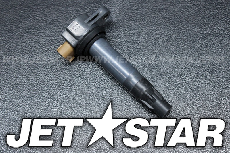 Used 420666142 IGNITION COIL [X2207-28]