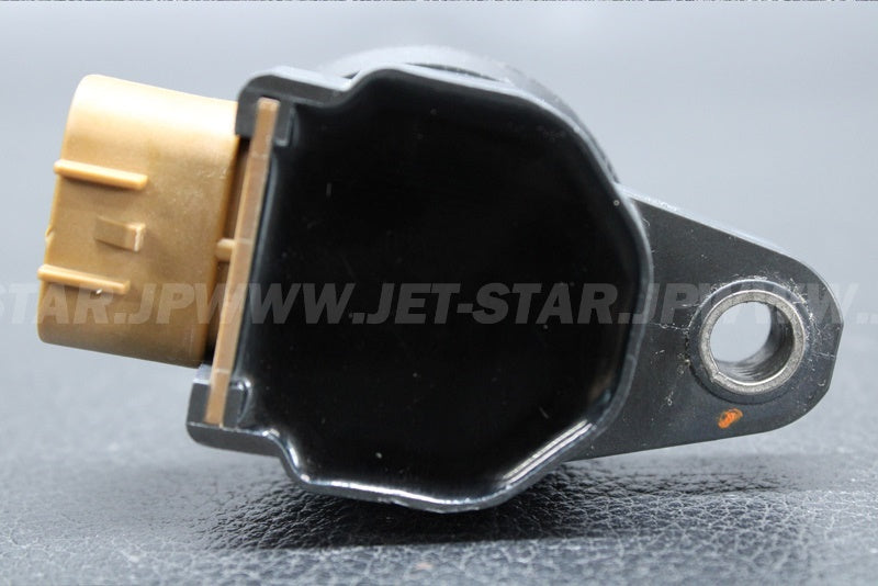 Used 420666142 IGNITION COIL [X2207-28]