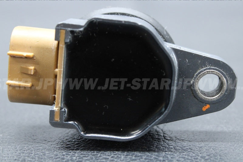 Used 420666142 IGNITION COIL [X2207-29]