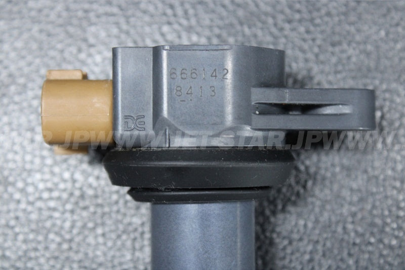Used 420666142 IGNITION COIL [X2207-29]