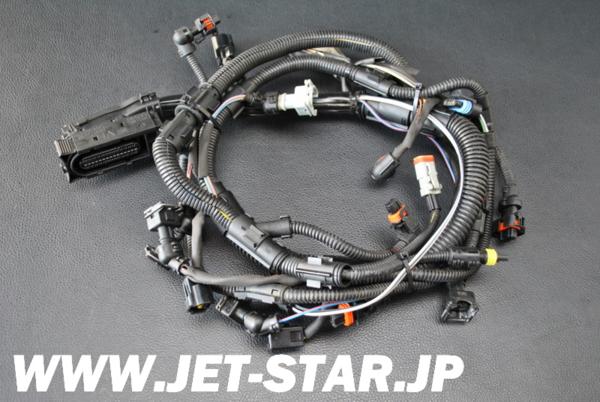 Used 420664056 WIRING HARNESS ASS'Y [X407-276]
