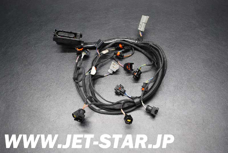 Used 420665205 ENGINE WIRING HARNESS ASS'Y [X806-354]