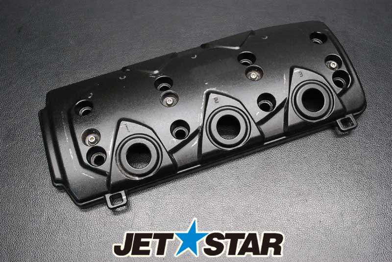 Used 420811585 VALVE COVER [X910-039]