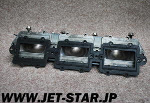 Used 63M-13555-00-94 MANIFOLD, INTAKE [Y696-013]